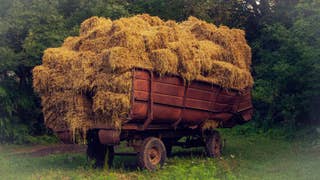 A photograph of a very overloaded cart of hay. Pity the donkey that has to pull this.
