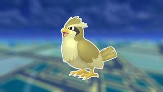 pokemon go shiny pidgey header