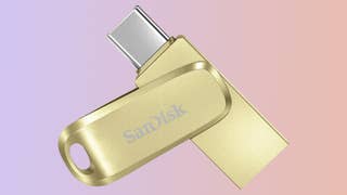 SanDisk Dual Drive Go USB flash drive in gold on a gradient background